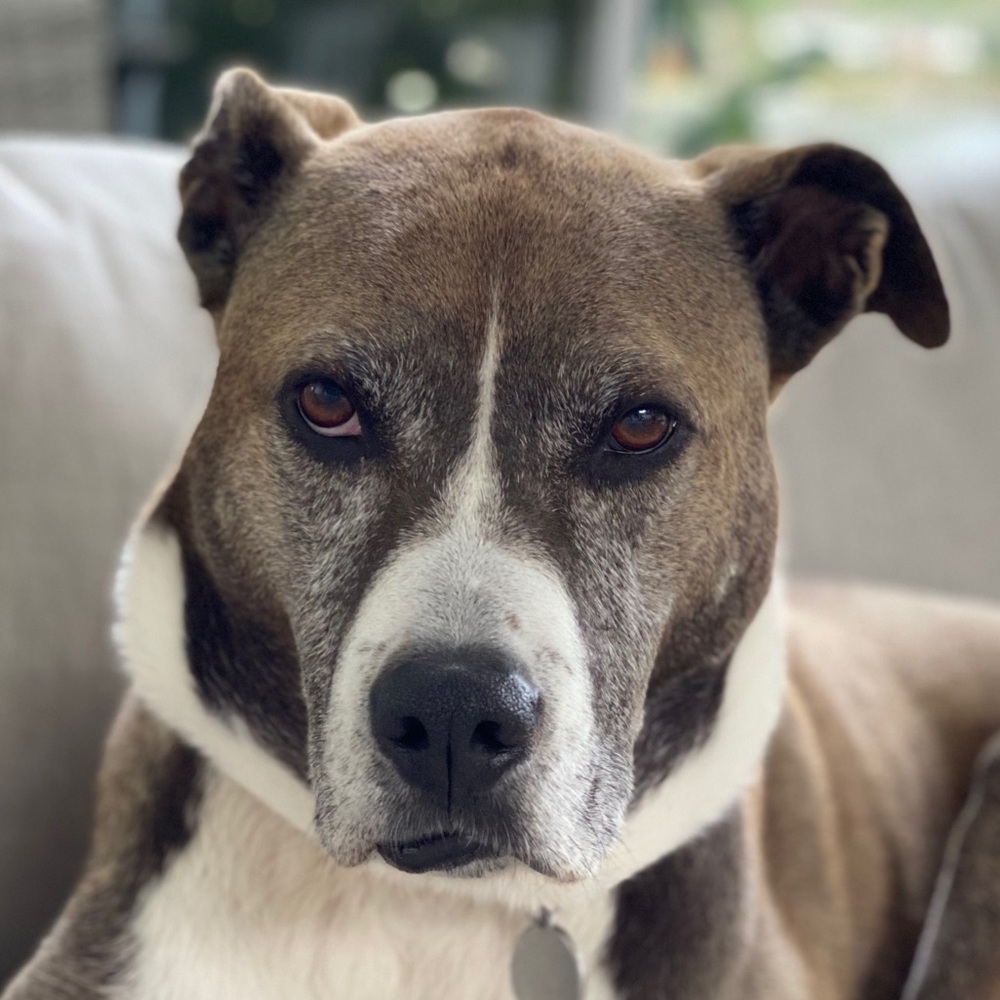 Meet your Posher, Cathy